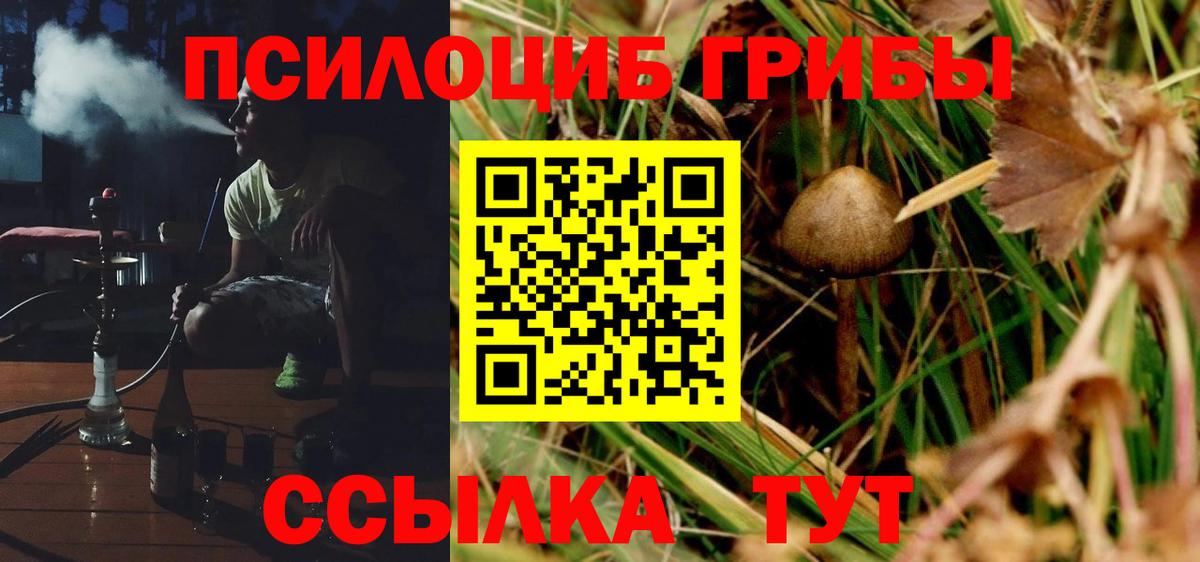 ГАШИШ  Вход с VPN  Алексин  Мефедрон   Меф  Купить закладку 