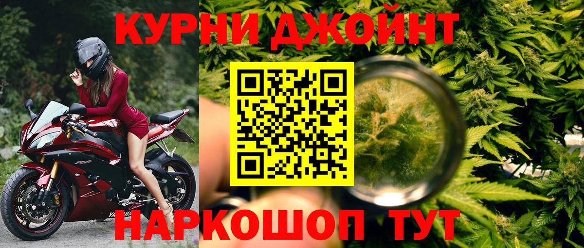 Конопля сатива Алексин
